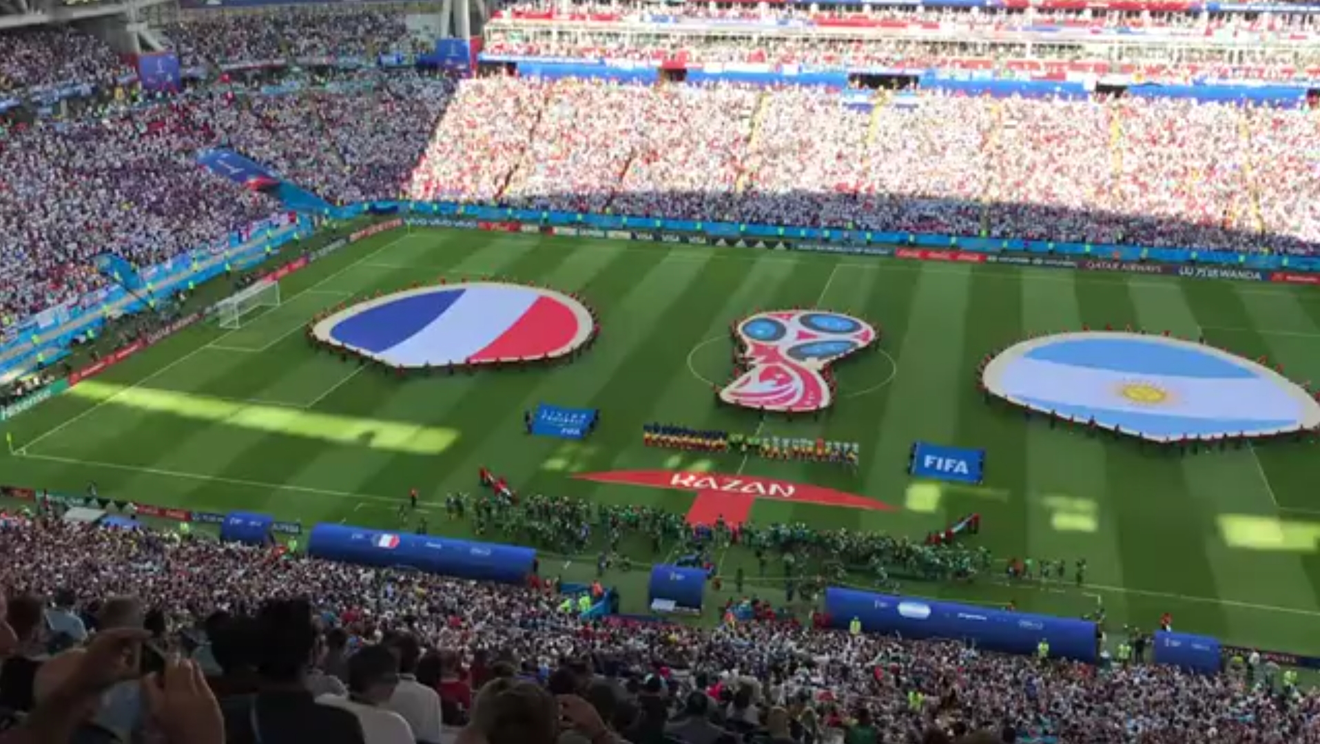 蓝鳍金枪鱼