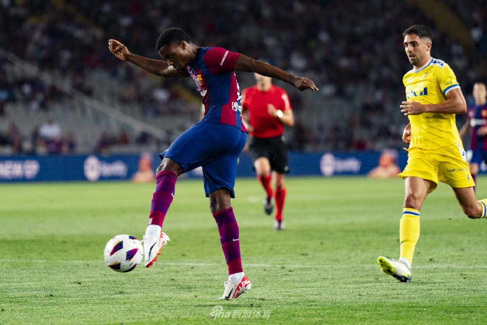 体育总监的 体育总监的