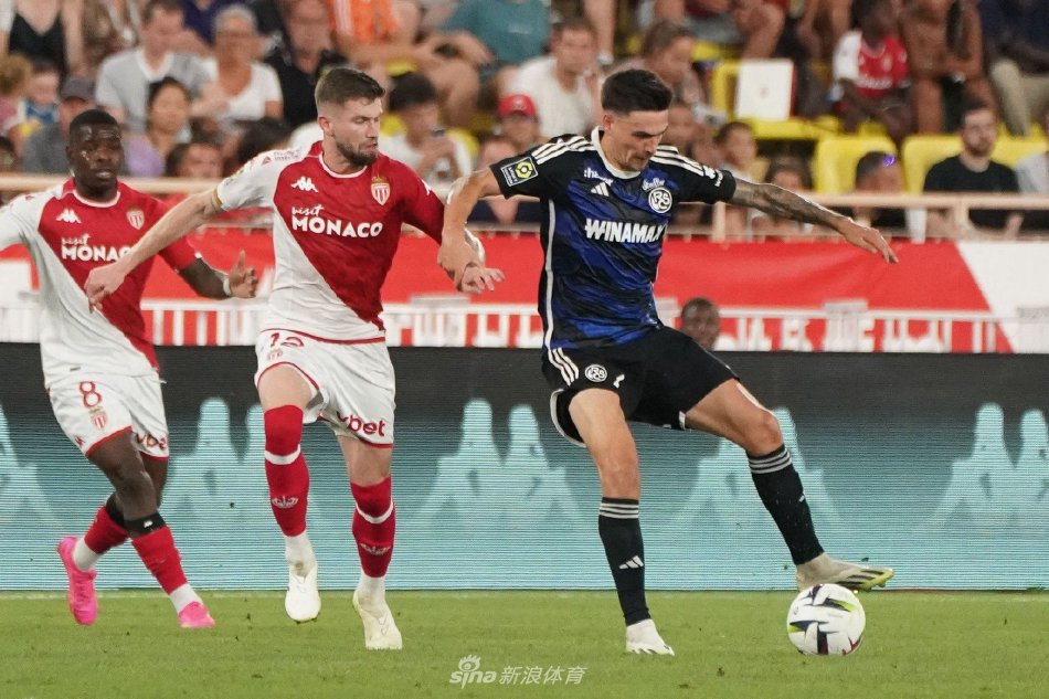 文化体育合 文化体育合